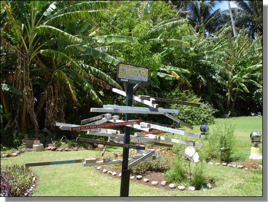 Rainbow Garden 2