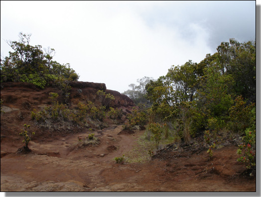 Pihea Trail 2