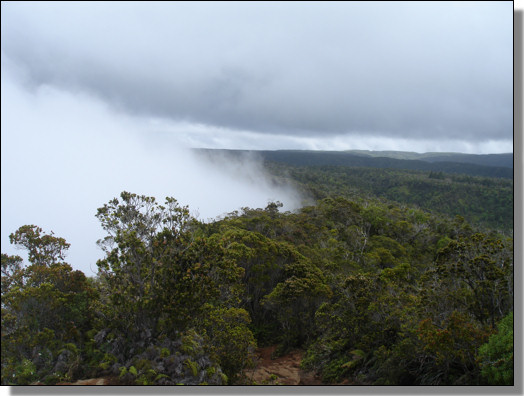 Pihea Trail 3