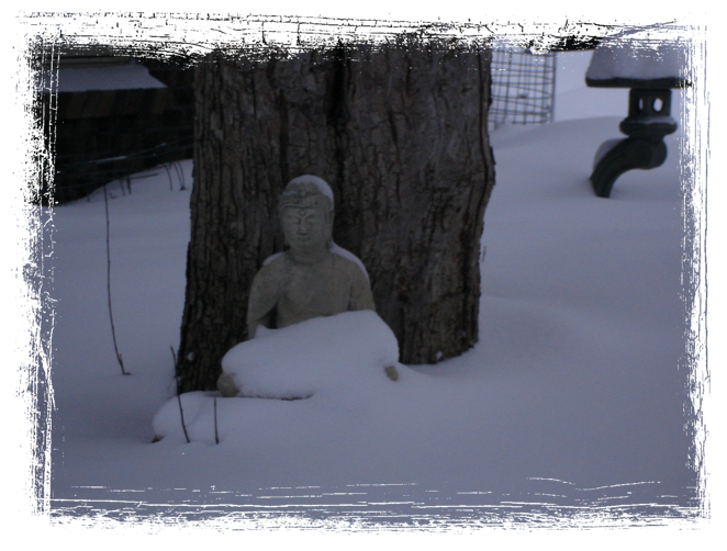 Winter Buddha V